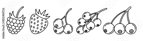 Collection of outline drawings of fresh berries including raspberry, strawberry, blueberries, and cherries perfect for healthy eating concepts and food related projects