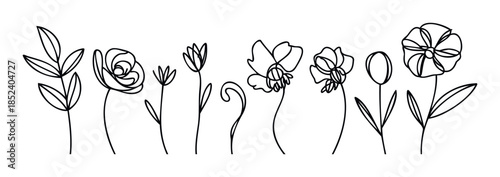 Collection of simple line drawings of flowers and leaves, ideal for naturalistic graphics, floral motifs, and botanical themes in branding and editorial usage.