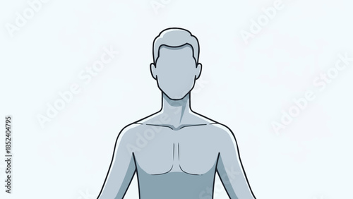 Anatomical illustration of a male torso and head.