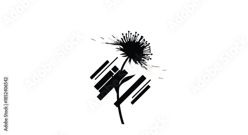 dandelion seeds on white background