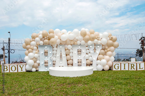 Baby Gender Reveal Decoration with Balloons, Boy or Girl Party Setup Outdoors