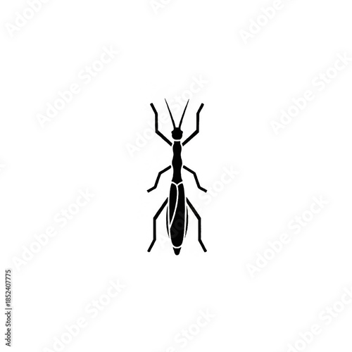 Insect Silhouette Icon