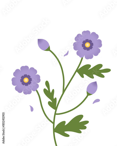 Violet flowers | aster flower lilac purple