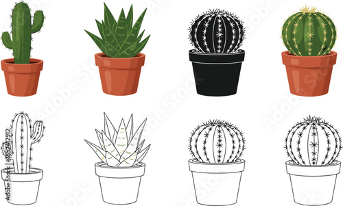 Potted cactus and succulent plants vector illustration set with colorful and outline styles isolated on white background botanical decor