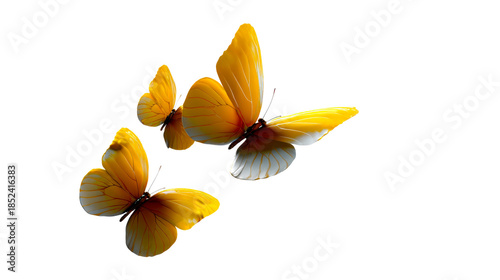 Golden yellow butterflies in graceful flight, symbolizing transformation and freedom, perfect for invitations, spring themes, and natureinspired projects.