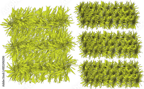 Green Grass Patches and Nature Textures Set for Landscape Design 