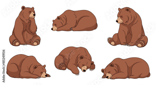 A cute collection of cartoon brown bear characters in various sleeping and resting poses perfect for relaxation or nature themes.