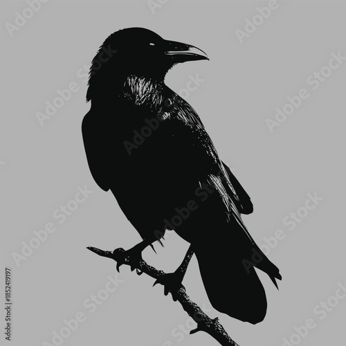 Silhouette of a black crow perched on a branch against a gray background with a minimalistic style