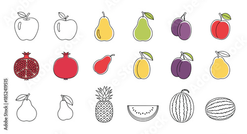 A collection of various fruits in a minimalist line art style with colorful accents including apple pear plum and watermelon.