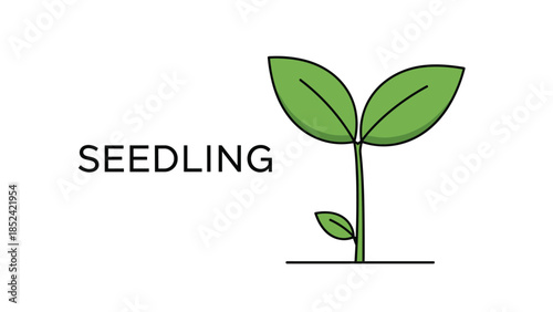 Simple cartoon drawing of a green seedling sprouting from the ground, symbolizing new beginnings, growth, nature, and ecology.