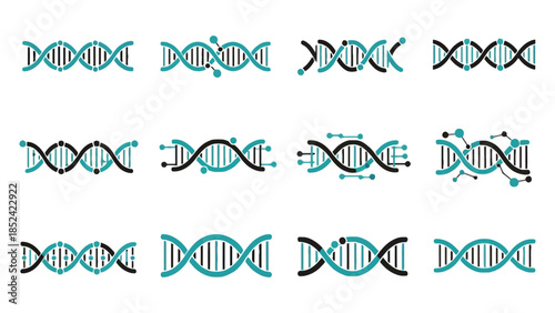 Collection of diverse DNA helix structures illustrating genetic science and biotechnology