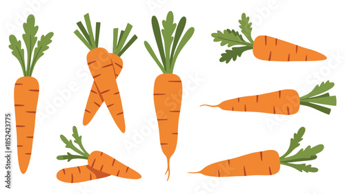 Vibrant collection of fresh carrots with green leafy tops, showcasing natural shapes and textures