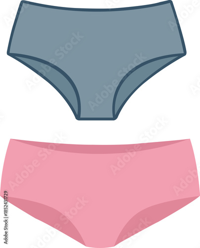 Women’s underwear set with modern briefs design, representing comfort, everyday lingerie, and basic apparel essentials on isolated background.