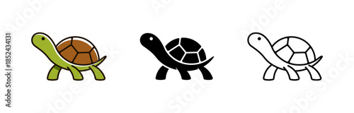 Turtle icon isolated on white background.