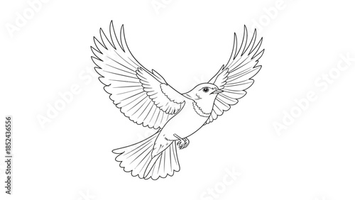 Graceful bird with wings outstretched in flight, symbolizing freedom and new beginnings.