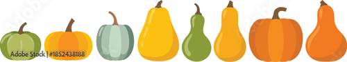 A colorful horizontal collection of various autumn gourds and pumpkins displays natural seasonal variety