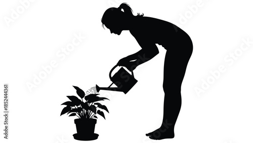 Silhouette of a woman watering a potted houseplant with a can