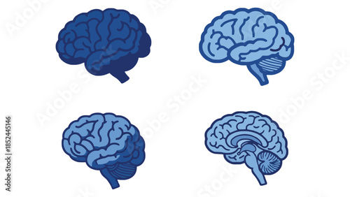 Four detailed illustrations of the human brain in varying shades of blue against a white background.