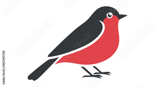 Charming small bird with red breast and black wings perched on white background