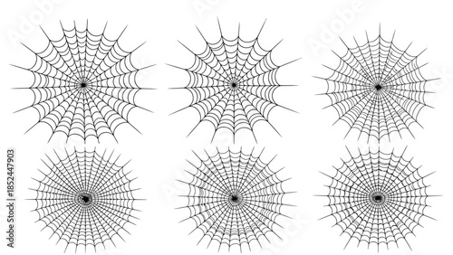 Collection of Six Intricate Spiderwebs Detailed Illustrations.