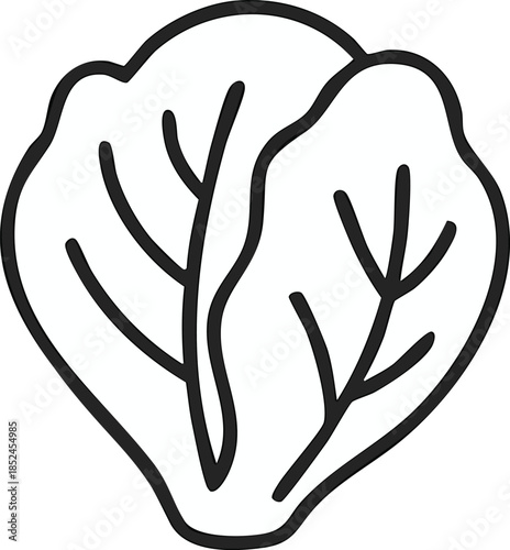A minimalist black line icon of cabbage or lettuce leaf,