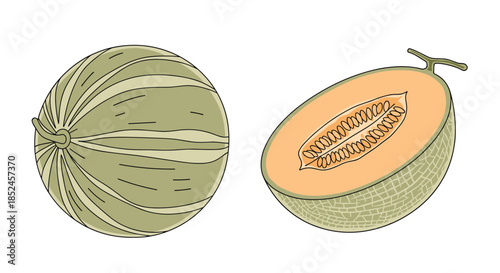 A whole striped melon and a halved cantaloupe with orange flesh and seeds on a white background.