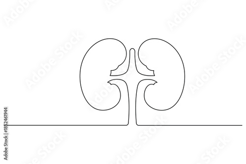 One line drawing of a pair of kidneys for urological health and medical logo design