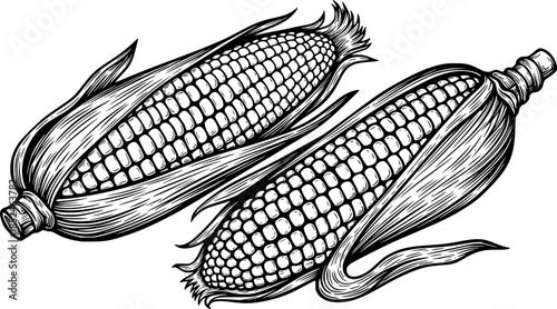 Grilled Corn on the Cob Vector Silhouette Illustration
