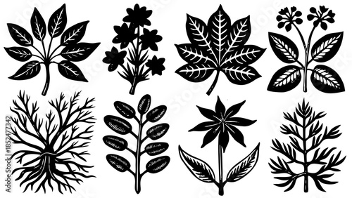 A collection of black and white botanical silhouettes featuring diverse leaf shapes and floral elements