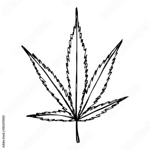 Hand drawn cannabis leaf Medicine marijuana Hemp leaves clipart in doodle style Single element for print, web, design, decor