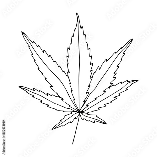 Hand drawn cannabis leaf Medicine marijuana Hemp leaves clipart in doodle style Single element for print, web, design, decor
