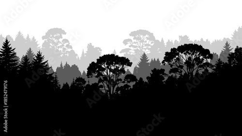Diverse Forest Silhouette with Varied Tree Types.