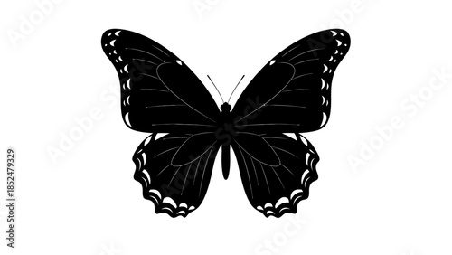 Elegant Black Butterfly with Detailed Wings Isolated on White.