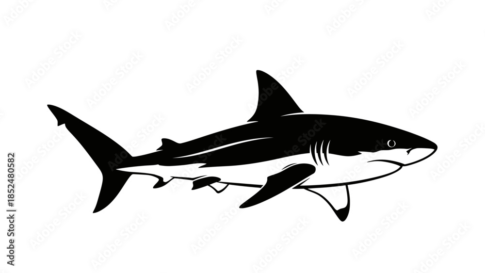 Fototapeta premium Powerful Great White Shark Silhouette Illustration.
