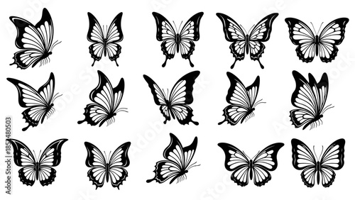 Monochrome Butterfly Collection - Elegant Hand-Drawn Insect Illustrations.