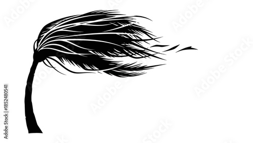 Palm tree silhouette with leaves blowing in strong wind.