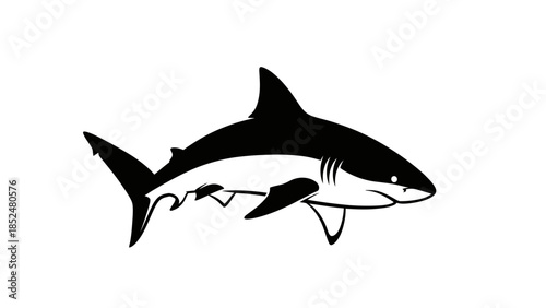 Powerful Black and White Shark Swimming Gracefully in Ocean Waters.