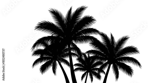 Silhouette of a cluster of palm trees against a white background.
