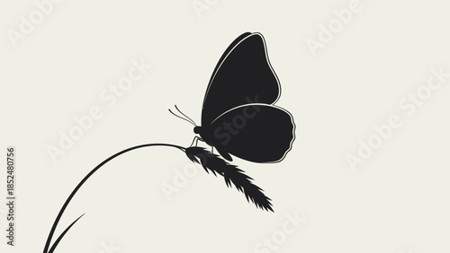 Silhouette of a delicate butterfly perched on a blade of grass.