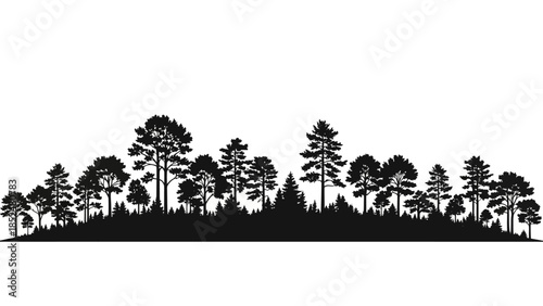 Silhouette of a dense forest with various trees and undergrowth.