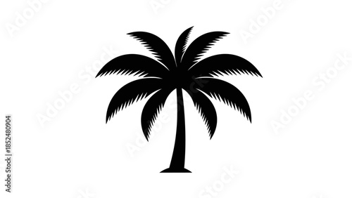 Silhouette of a Tropical Palm Tree with Fronds.