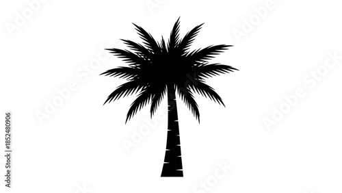 Silhouette of a tropical palm tree with lush fronds.
