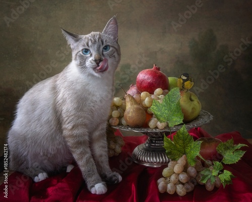 Sharmin blue-eyed kitten and tit on a fruits vase