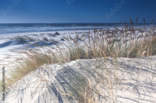 White sand dunes in the natural reserve of Sao Jacinto, Aveiro, Portugal
