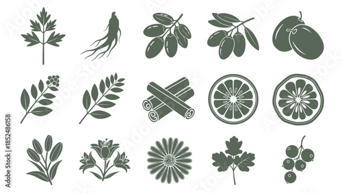 Botanical icons of various plants and fruits in green and white