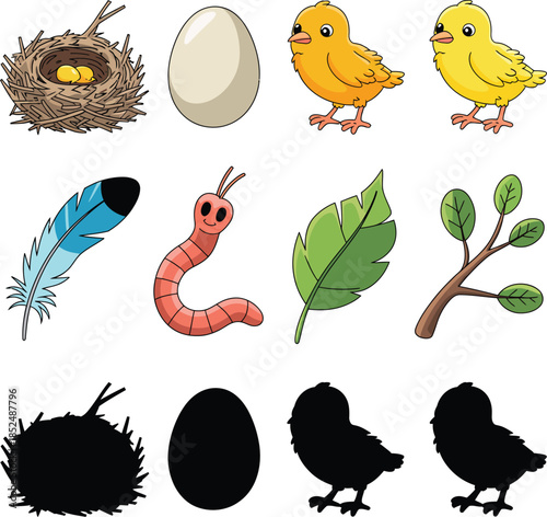 Bird life cycle elements and nature objects with corresponding silhouettes for learning