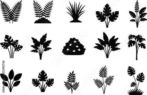Collection of various leaf and plant silhouettes on white background