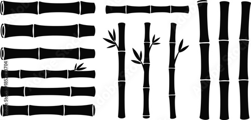 Bamboo stems and nodes illustration