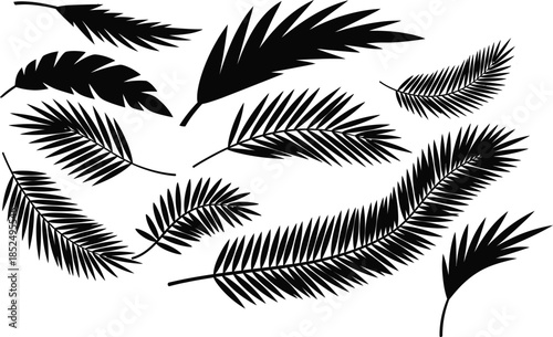 Collection of Black Leaf Silhouettes and Botanical Elements