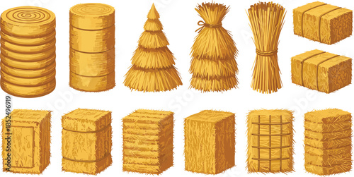 Vector Illustration Set of Diverse Modern Baby Strollers and Prams in Various Colors for New Parents Infancy Care and Childhood Transport